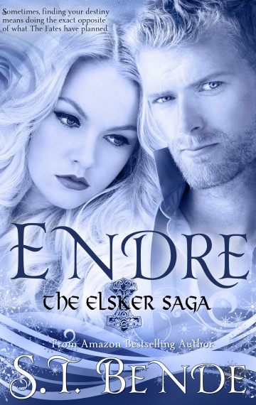 Endre (Elsker Saga Book 2)